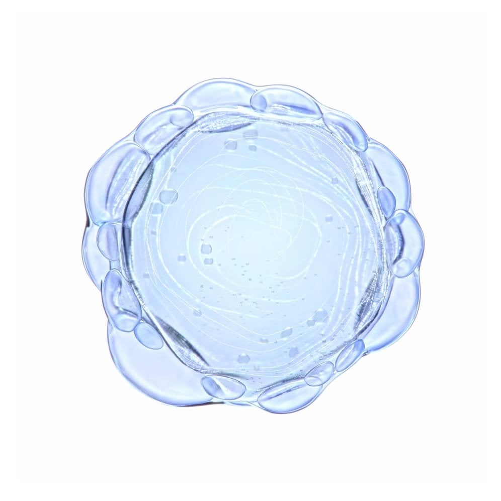 Pure niacinamide ingredient