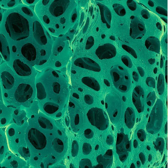 urea