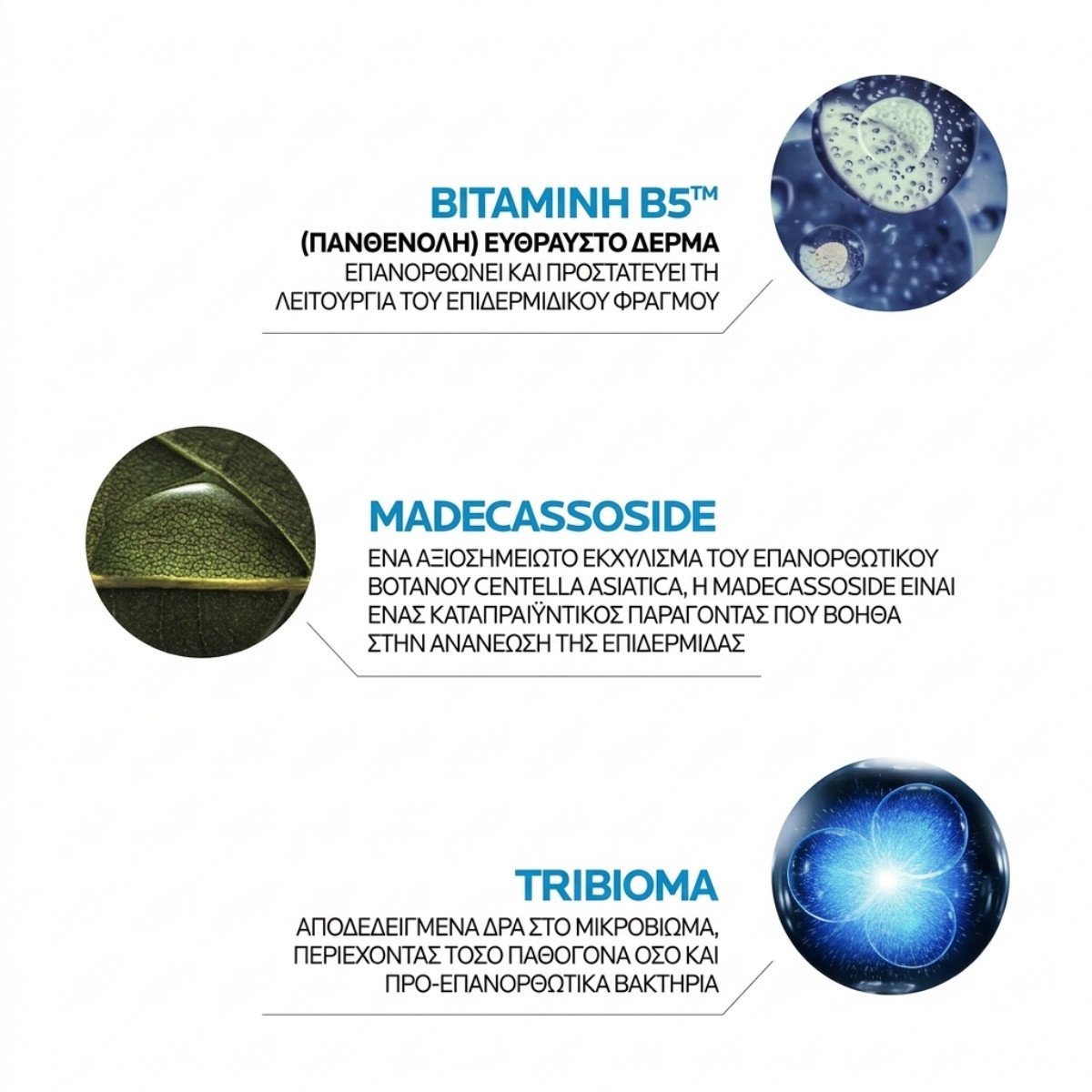 Cicaplast Baume B5+ συστατικα
