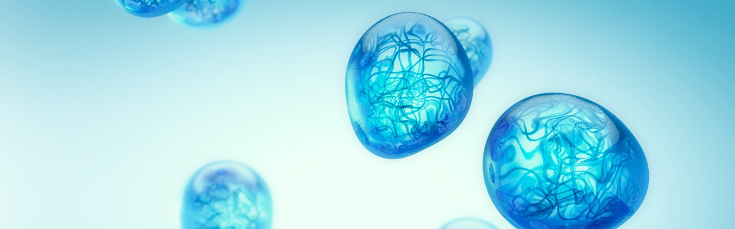 microbiome skincare